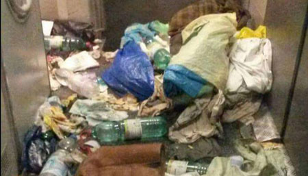 Мигранты превращают Европу в одну большую помойку Мигранты превращают Европу в одну большую помойку