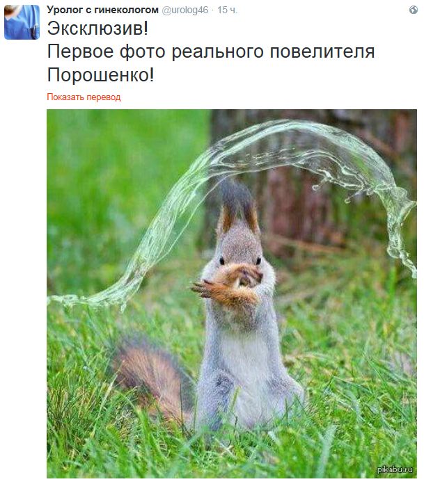 Допился!!! Порошенко увидел российских «зелёных человечков» в Сирии Допился!!! Порошенко увидел российских «зелёных человечков» в Сирии