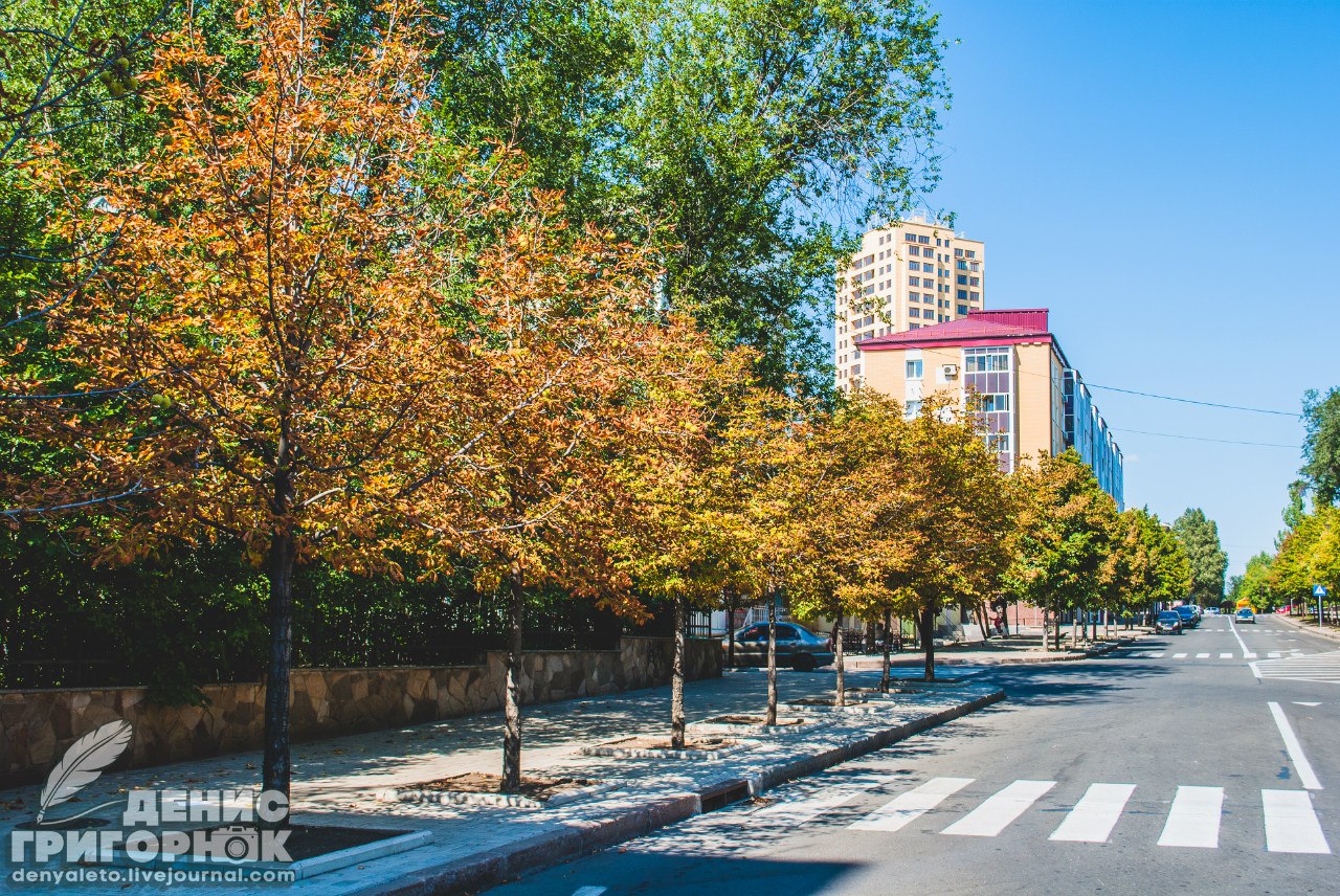 Сводки от ополчения Новороссии 10.09.2015 Сводки от ополчения Новороссии 10.09.2015