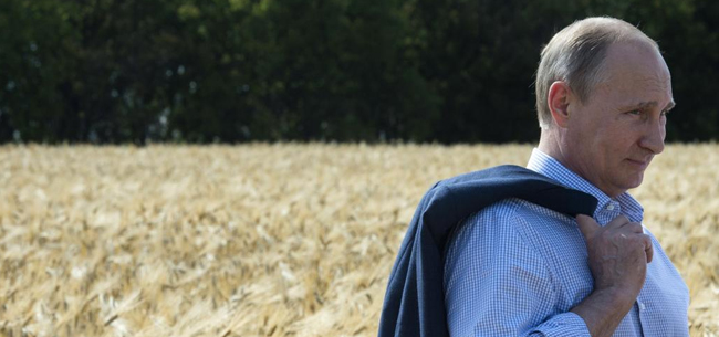 Продовольственный фронт России. Как успехи?