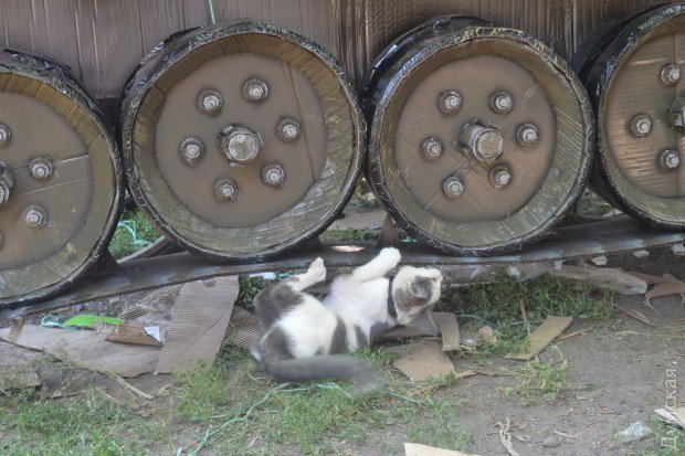 Cоздан «велосипедный укротанк»