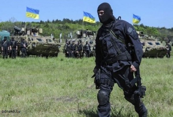 Порошенко хочет провести дополнительную спецоперацию в Донбассе