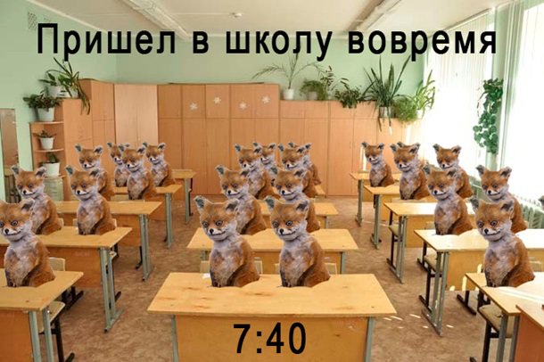 Яценюк - чеченец. Мемы недели Яценюк - чеченец. Мемы недели