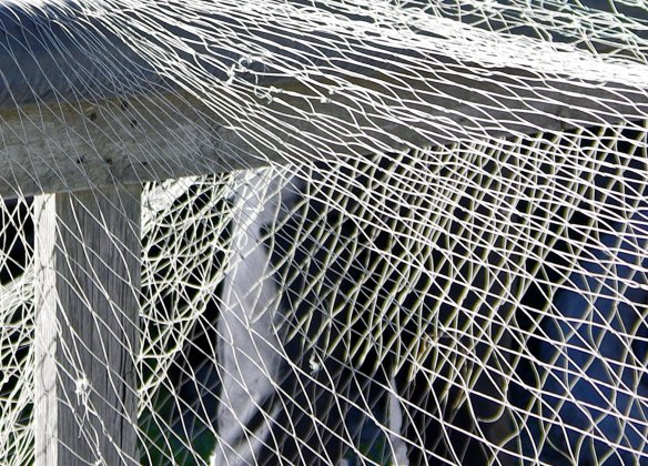 Есть ли связь между событиями на Украине и в Сирии? Есть ли связь между событиями на Украине и в Сирии?