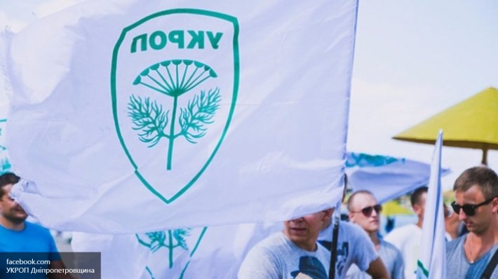 УКРОП нашла соперника Кличко в лице заместителя Коломойского УКРОП нашла соперника Кличко в лице заместителя Коломойского