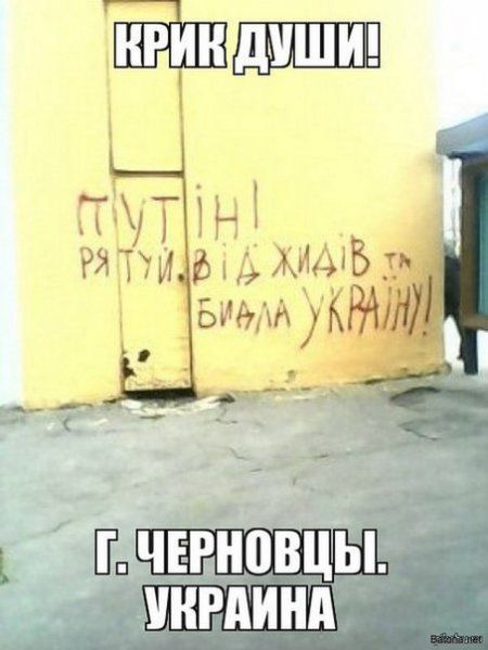 "Мыздобулы" в картинках. Смешных и не очень... 13-09-2015