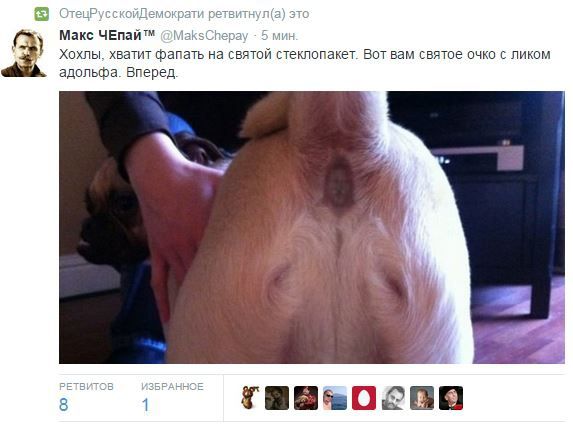 "Мыздобулы" в картинках. Смешных и не очень... 13-09-2015