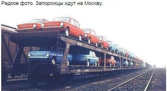 "Мыздобулы" в картинках. Смешных и не очень... 13-09-2015