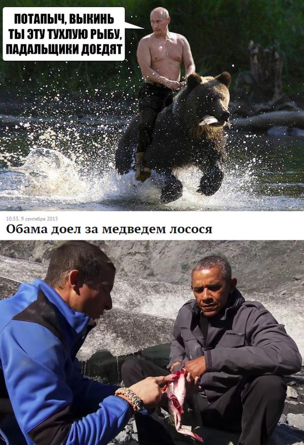 "Мыздобулы" в картинках. Смешных и не очень... 13-09-2015