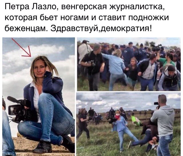 "Мыздобулы" в картинках. Смешных и не очень... 13-09-2015