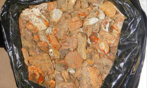 На границе с Польшей пограничники изъяли у двоих украинцев 18 кг янтаря На границе с Польшей пограничники изъяли у двоих украинцев 18 кг янтаря