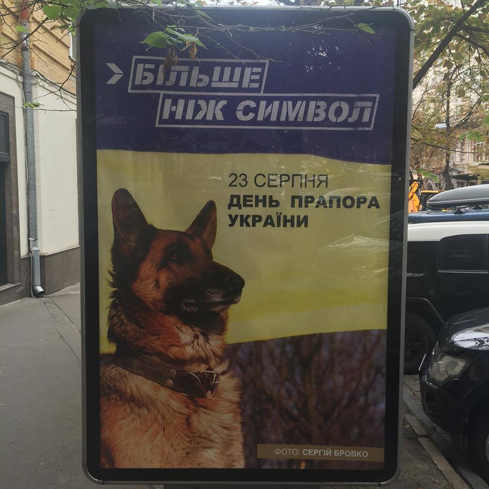 Креатив от Минстеця: лайтбоксы с изображением собаки, символизирующей украинский флаг Креатив от Минстеця: лайтбоксы с изображением собаки, символизирующей украинский флаг