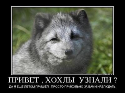 Вице-премьер Украины: энергетика страны находится в предынфарктном состоянии Вице-премьер Украины: энергетика страны находится в предынфарктном состоянии