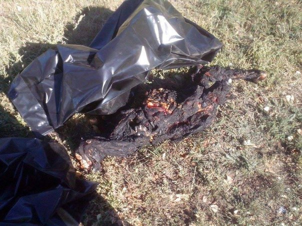 Сводки от ополчения Новороссии 16.09.2015 Сводки от ополчения Новороссии 16.09.2015