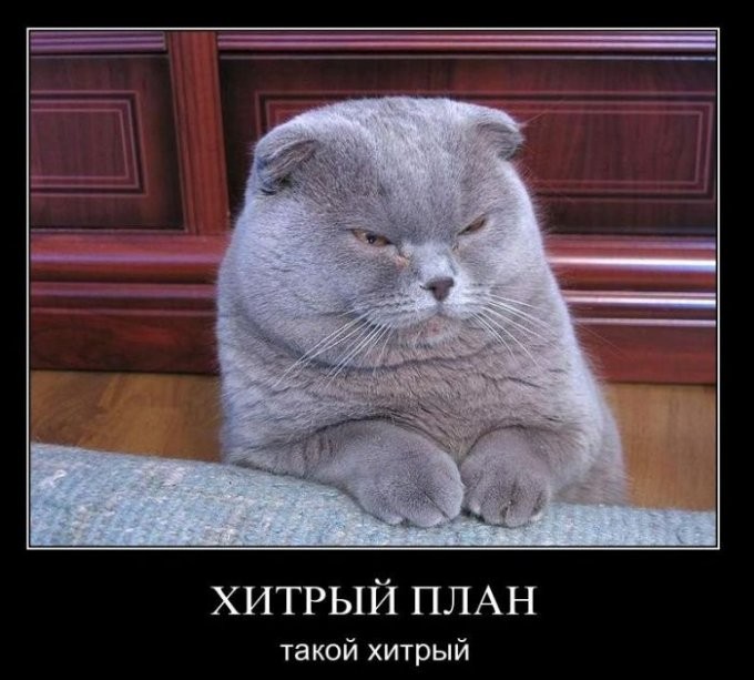 Хитрый план "братство" Хитрый план "братство"