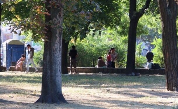 На Куликовом поле в Одессе ромы развернули палаточный лагерь На Куликовом поле в Одессе ромы развернули палаточный лагерь