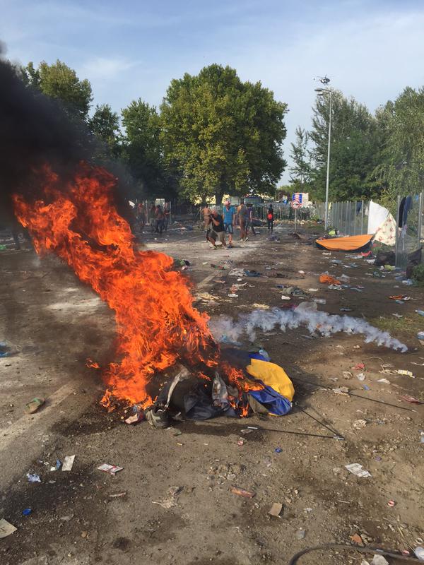 Беженцев разгоняют водомётами на венгеро-сербской границе — прямая трансляция