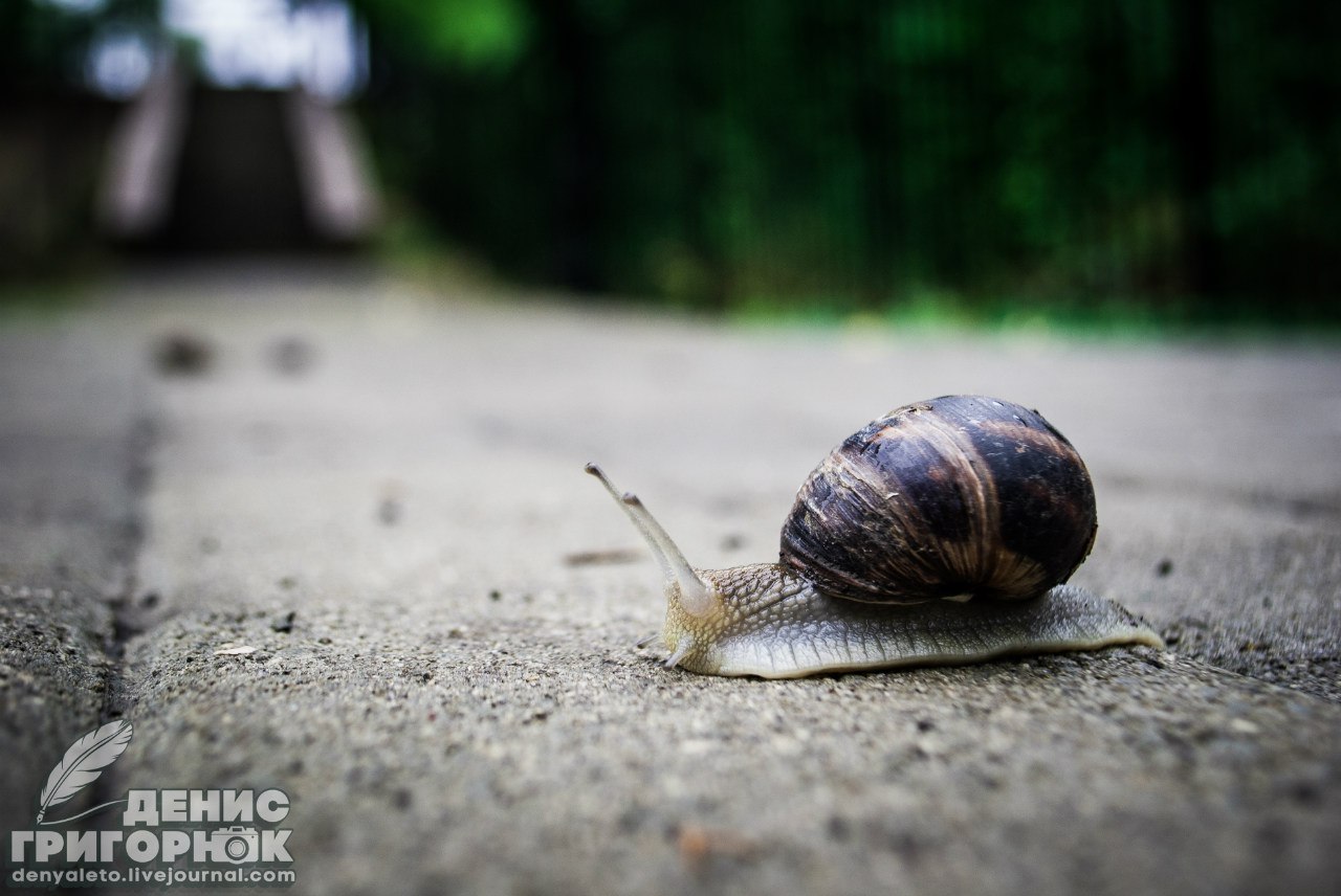 Сводки от ополчения Новороссии 16.09.2015 Сводки от ополчения Новороссии 16.09.2015