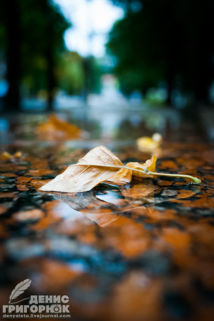 Сводки от ополчения Новороссии 16.09.2015 Сводки от ополчения Новороссии 16.09.2015