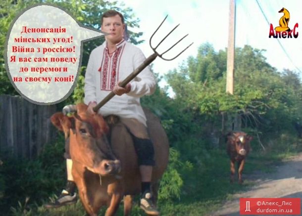 План Березы, Свидетели Петровы. Фотожабы на предстоящие выборы План Березы, Свидетели Петровы. Фотожабы на предстоящие выборы