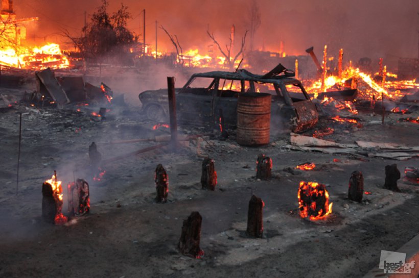 Стоп, халява! Стоп, халява!