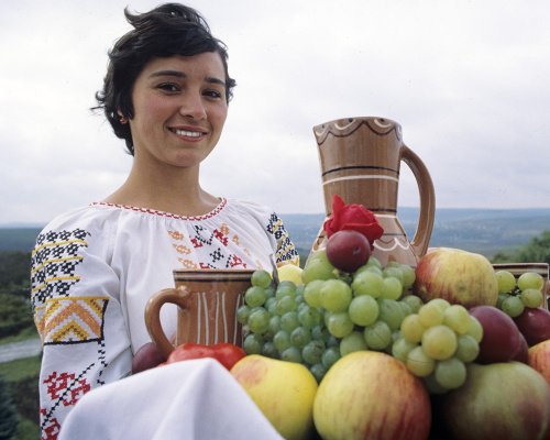 Россия разрешила ввоз любых фруктов из Молдавии Россия разрешила ввоз любых фруктов из Молдавии