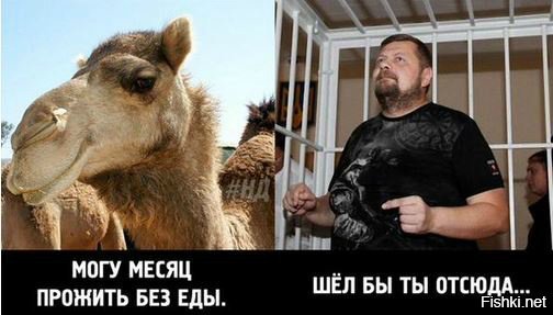 Иллюзии как зубы - теряются с возрастом