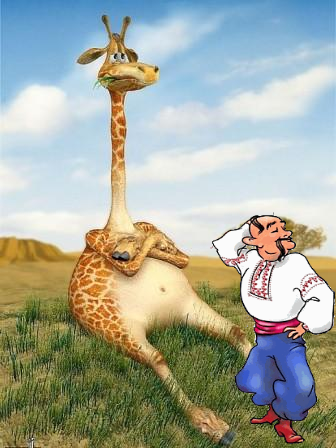 Почему жираф умнее упоротого? Почему жираф умнее упоротого?