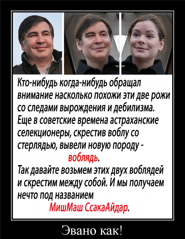 "Мыздобулы" в картинках. Смешных и не очень... 21-09-2015