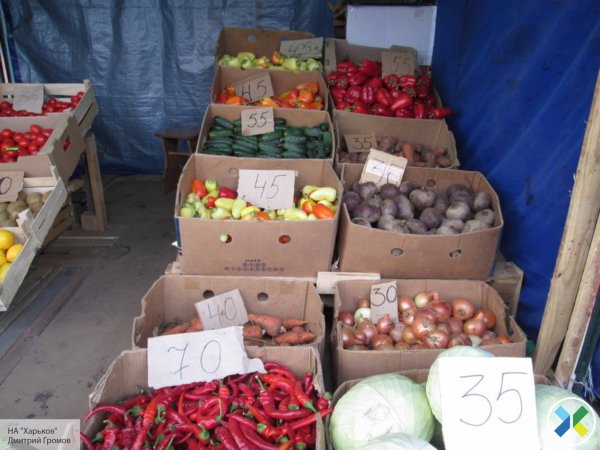 Взгляд на блокаду Крыма из магазинов и супермаркетов Симферополя