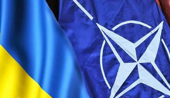 В Раде признали, что за время войны на Донбассе НАТО сделало больше, чем вся Украина В Раде признали, что за время войны на Донбассе НАТО сделало больше, чем вся Украина