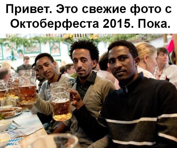 "Мыздобулы" в картинках. Смешных и не очень... 23-09-2015