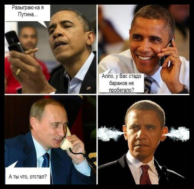 "Мыздобулы" в картинках. Смешных и не очень... 23-09-2015