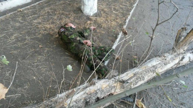 Когда даже деревья - сепаратисты