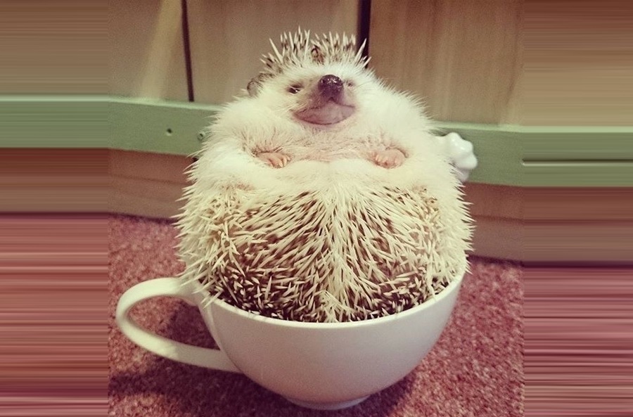 Дефолт Украины: вопросы и ответы