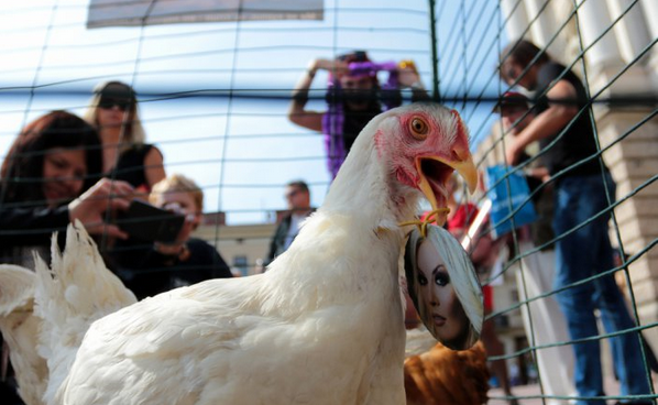 Во Львове прошла акция против Лорак, Билык и Повалий Во Львове прошла акция против Лорак, Билык и Повалий