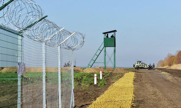 Пограничники задержали украинца, направлявшегося в РФ с 600 кг сыра Пограничники задержали украинца, направлявшегося в РФ с 600 кг сыра