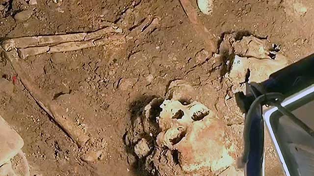 Итальянские ученые заявили, что обнаружили останки Моны Лизы Итальянские ученые заявили, что обнаружили останки Моны Лизы