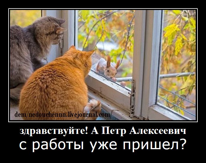 Петр или прерванный полет Петр или прерванный полет