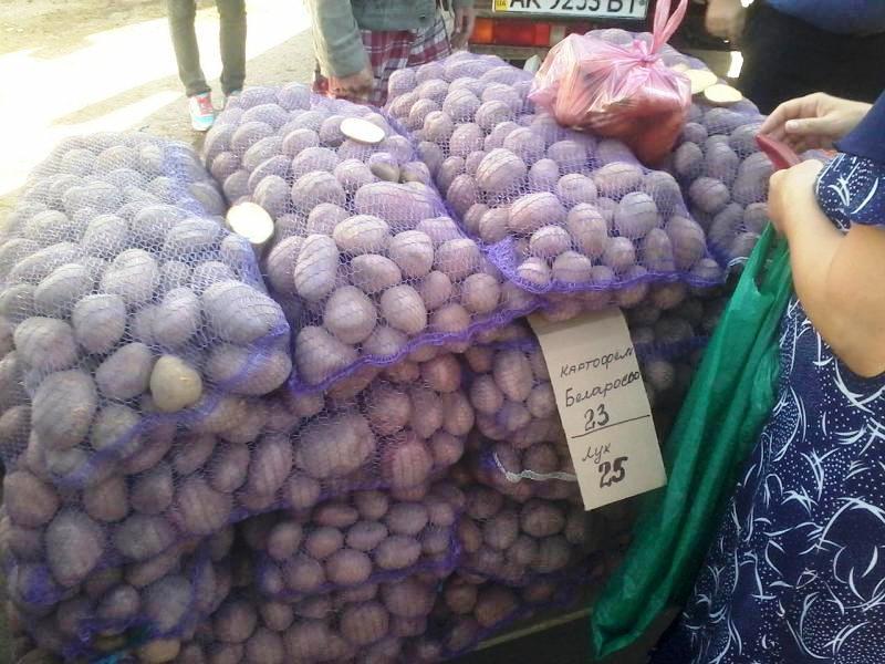 Блокада Крыма: Сергей Рулев продирается сквозь завалы еды в Севастополе Блокада Крыма: Сергей Рулев продирается сквозь завалы еды в Севастополе