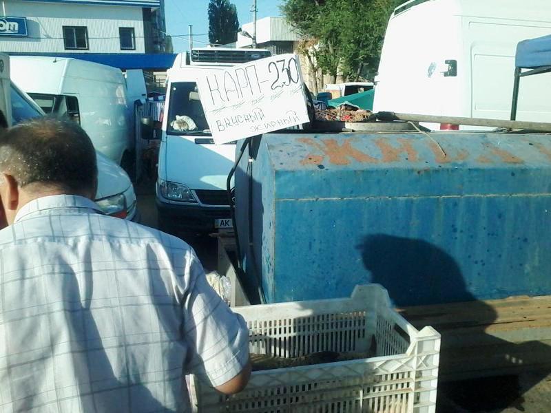 Блокада Крыма: Сергей Рулев продирается сквозь завалы еды в Севастополе Блокада Крыма: Сергей Рулев продирается сквозь завалы еды в Севастополе