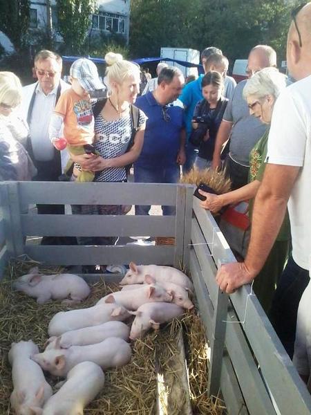 Блокада Крыма: Сергей Рулев продирается сквозь завалы еды в Севастополе Блокада Крыма: Сергей Рулев продирается сквозь завалы еды в Севастополе