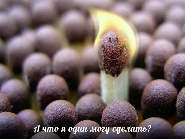 На выборах в Иркутской области друг олигарха Прохорова проиграл коммунистам На выборах в Иркутской области друг олигарха Прохорова проиграл коммунистам