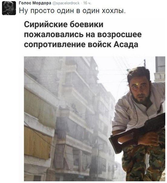 "Мыздобулы" в картинках. Смешных и не очень... 28-09-2015