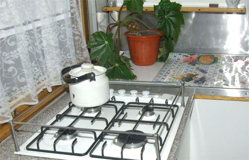 Вип-тур в апартаментах от галицких селюков