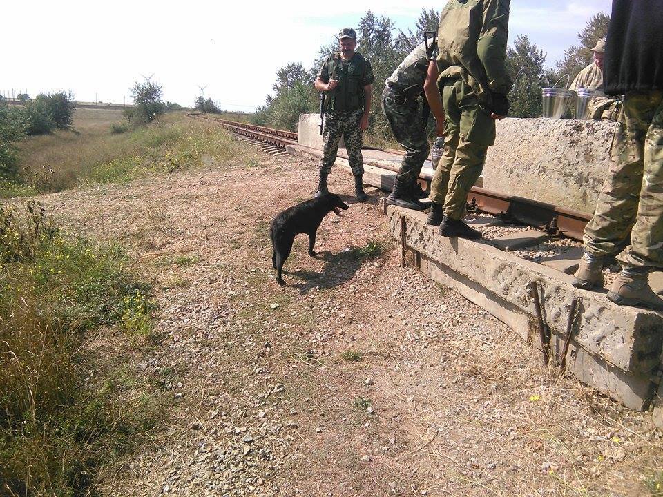 «Правый сектор» опубликовал снимки заблокированных путей на «Крымский титан» «Правый сектор» опубликовал снимки заблокированных путей на «Крымский титан»