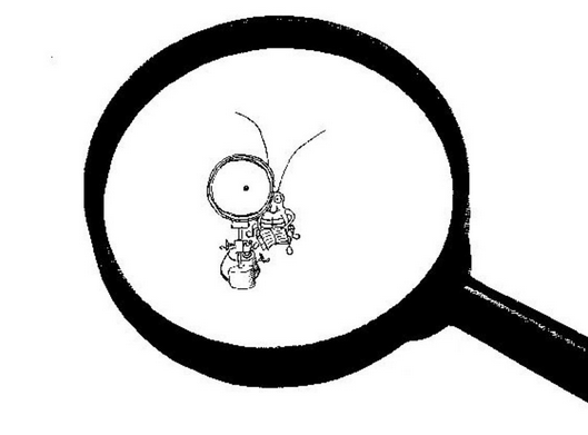 Владимир Путин: я не заметил, что президент Украины не присутствовал на моей речи Владимир Путин: я не заметил, что президент Украины не присутствовал на моей речи