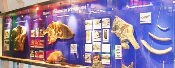 Российская биоинженерия. Клонирование древних животных