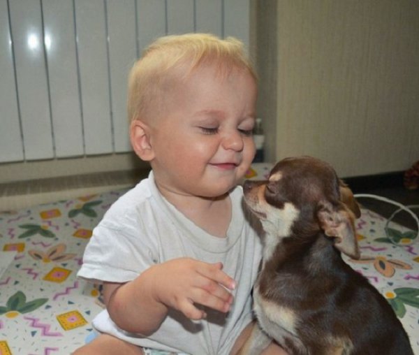 Фотографии проказников, на минуту оставшихся без родителей Фотографии проказников, на минуту оставшихся без родителей