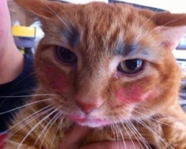 Фотографии проказников, на минуту оставшихся без родителей Фотографии проказников, на минуту оставшихся без родителей